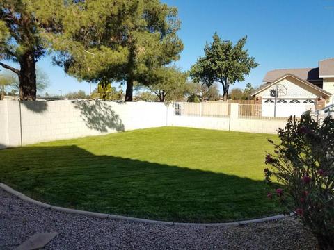 401 Encinas Ave, Gilbert, AZ 85234 photo 2