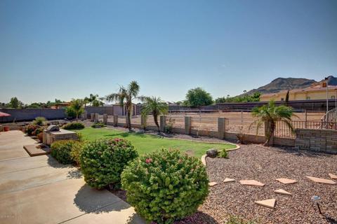1427 E Sandra Ter, Phoenix, AZ 85022 photo 23