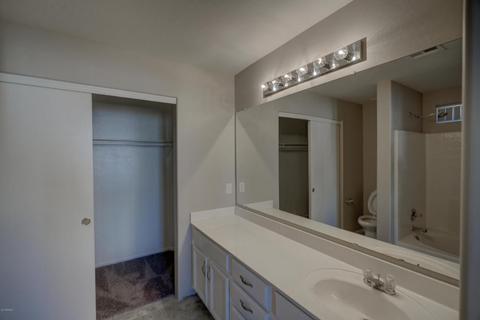8762 E Lobo Ave, Mesa, AZ 85209 photo 10