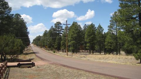 2213 Forest Park Dr, Overgaard, AZ 85933 photo 27