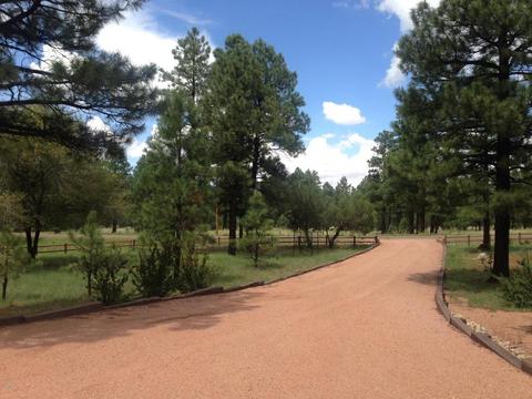 2213 Forest Park Dr, Overgaard, AZ 85933 photo 2