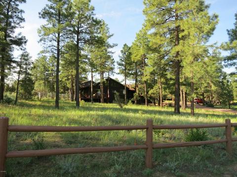 2213 Forest Park Dr, Overgaard, AZ 85933 photo 1