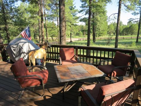 2213 Forest Park Dr, Overgaard, AZ 85933 photo 19