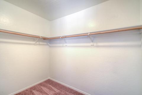 528 E Rainbow Dr, Chandler, AZ 85249 photo 19