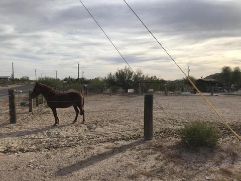 2737 E 4th Ave, Apache Junction, AZ 85119 photo 12