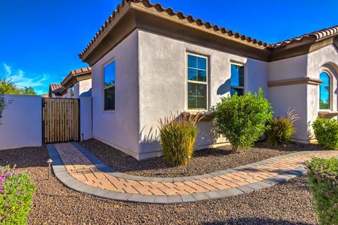 862 E Buffalo St, Gilbert, AZ 85295 photo 5
