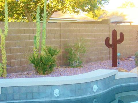1160 W 3rd Ave, Apache Junction, AZ 85120 photo 3