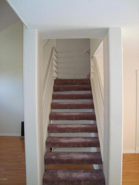 3927 E Gail Dr, Phoenix, AZ 85044 photo 30