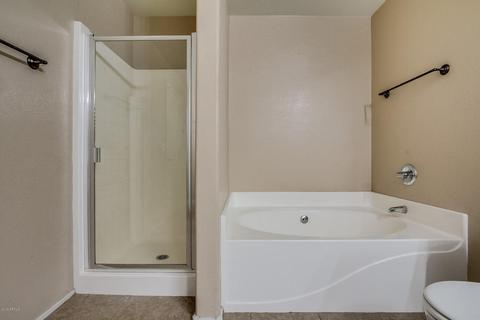 509 E Milada Dr, Phoenix, AZ 85042 photo 16
