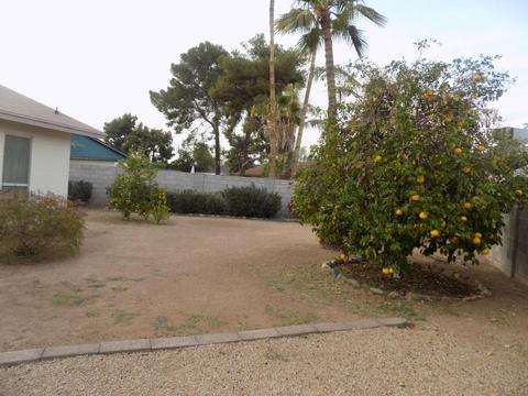3402 W Phelps Rd, Phoenix, AZ 85053 photo 7