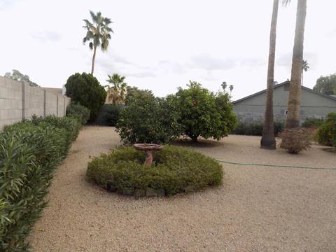 3402 W Phelps Rd, Phoenix, AZ 85053 photo 6