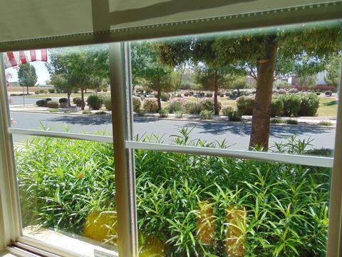 4356 E Tyson St, Gilbert, AZ 85295 photo 75