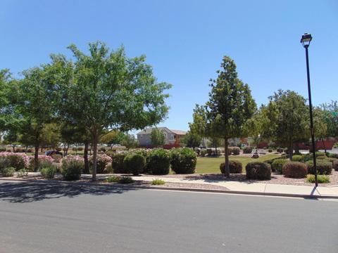 4356 E Tyson St, Gilbert, AZ 85295 photo 79