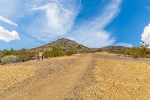 4602 E Mcneil St, Phoenix, AZ 85044 photo 49