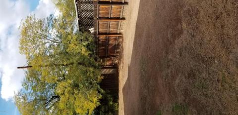 5024 N 6th St, Phoenix, AZ 85012 photo 3