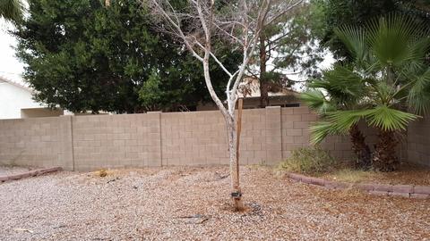 6732 E Manning St, Mesa, AZ 85215 photo 5