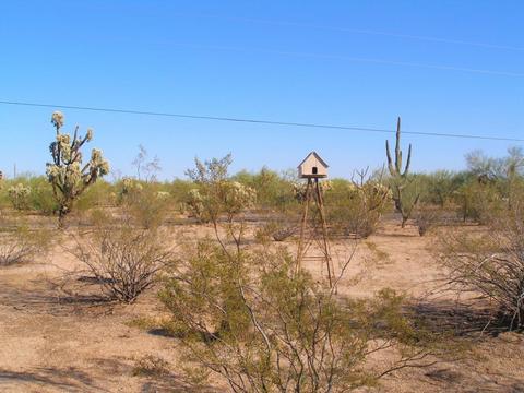 23707 E Cholla Rd, Florence, AZ 85132 photo 24