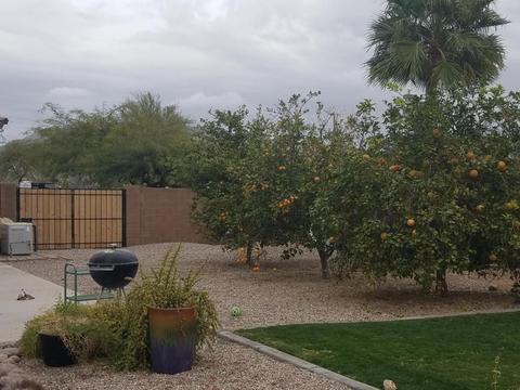 11405 E Fairbrook Cir, Mesa, AZ 85207 photo 10