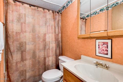 9131 E Aspen Ave, Mesa, AZ 85208 photo 19