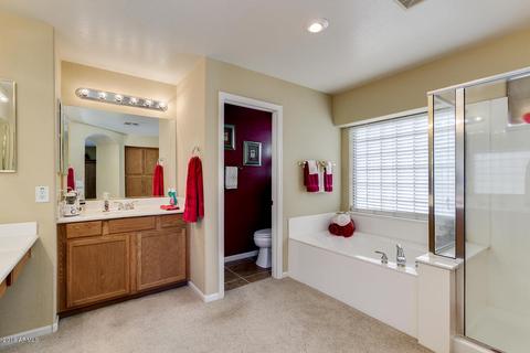 326 E Dennisport Ct, Gilbert, AZ 85295 photo 8