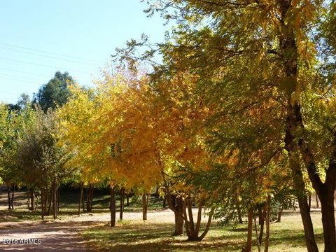 81 E Venus Rd, Payson, AZ 85541 photo 31