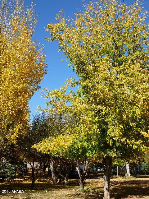 81 E Venus Rd, Payson, AZ 85541 photo 32
