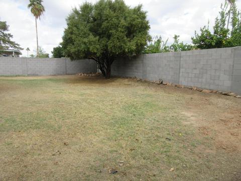 17849 N 29th Dr, Phoenix, AZ 85053 photo 4