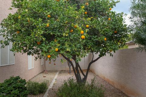2281 E Randall Rd, Gilbert, AZ 85296 photo 30
