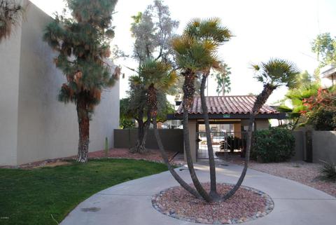 4201 E Camelback Rd #106, Phoenix, AZ 85018 photo 19