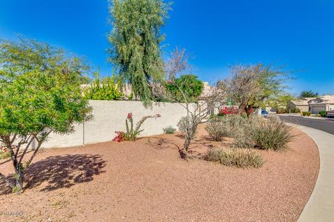 534 S Ash St, Gilbert, AZ 85233 photo 39