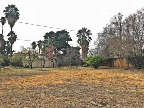 541 E Belmont Ave, Phoenix, AZ 85020 photo 13
