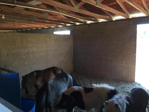 12002 S Rural Rd, Tempe, AZ 85284 photo 7