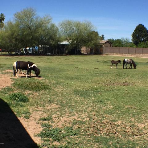 12002 S Rural Rd, Tempe, AZ 85284 photo 3