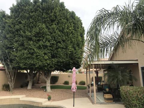 7762 E Dover St, Mesa, AZ 85207 photo 21