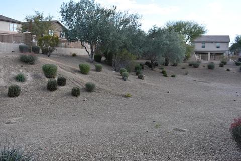 1865 E Patrick Ln, Phoenix, AZ 85024 photo 11