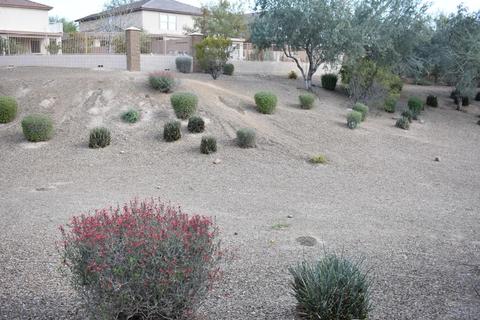1865 E Patrick Ln, Phoenix, AZ 85024 photo 13