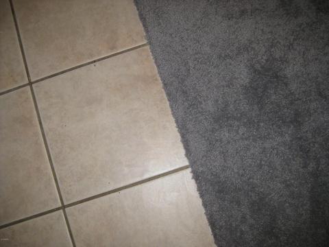 1865 E Patrick Ln, Phoenix, AZ 85024 photo 30