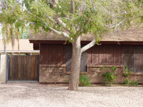 725 N Roca --, Mesa, AZ 85213 photo 49