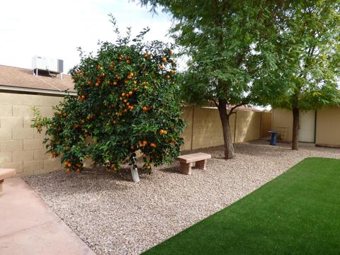 725 N Roca --, Mesa, AZ 85213 photo 41