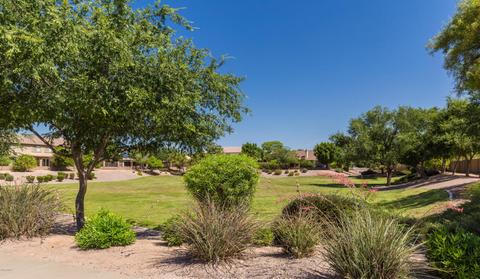 2209 E Knoll St, Mesa, AZ 85213 photo 15