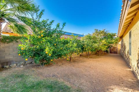2241 E Crest Ln, Phoenix, AZ 85024 photo 40