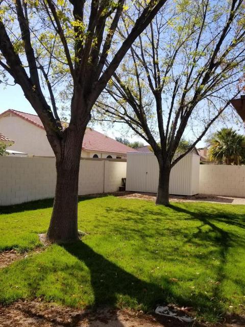 431 E Century Ave, Gilbert, AZ 85296 photo 6