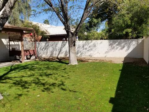 431 E Century Ave, Gilbert, AZ 85296 photo 4