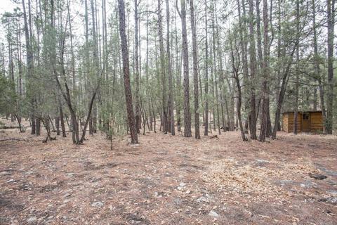 112 W Diamond Rd, Payson, AZ 85541 photo 17