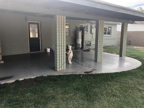 10243 N 17th Dr, Phoenix, AZ 85021 photo 28