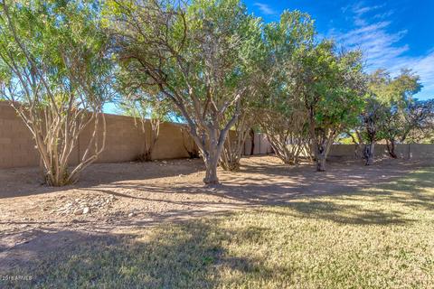 535 E Ivy St, Mesa, AZ 85203 photo 45