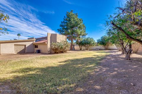 535 E Ivy St, Mesa, AZ 85203 photo 6