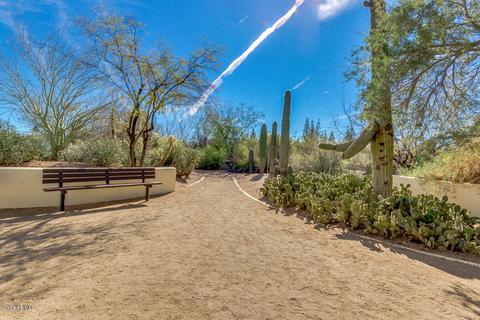 535 E Ivy St, Mesa, AZ 85203 photo 53