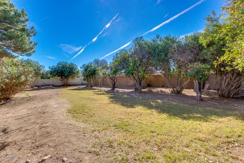 535 E Ivy St, Mesa, AZ 85203 photo 5