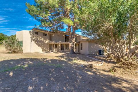535 E Ivy St, Mesa, AZ 85203 photo 43